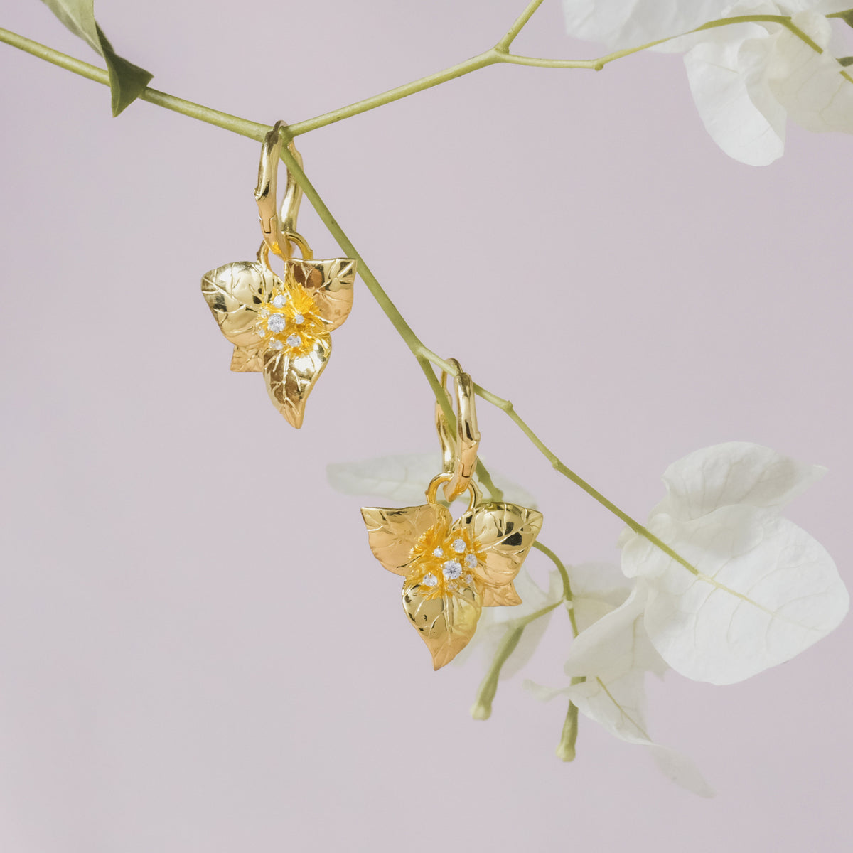Bougainvillea Sterling Silver 925 Hoop Earrings