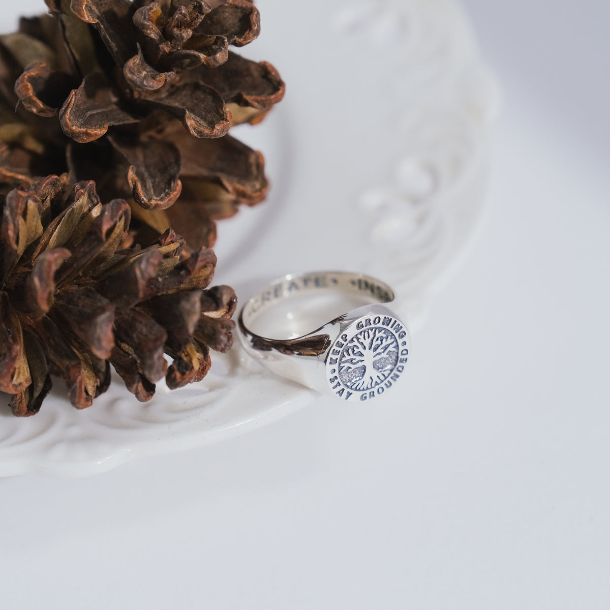Cincin Signet Perak 925 Koleksi Tree Of Life New Design