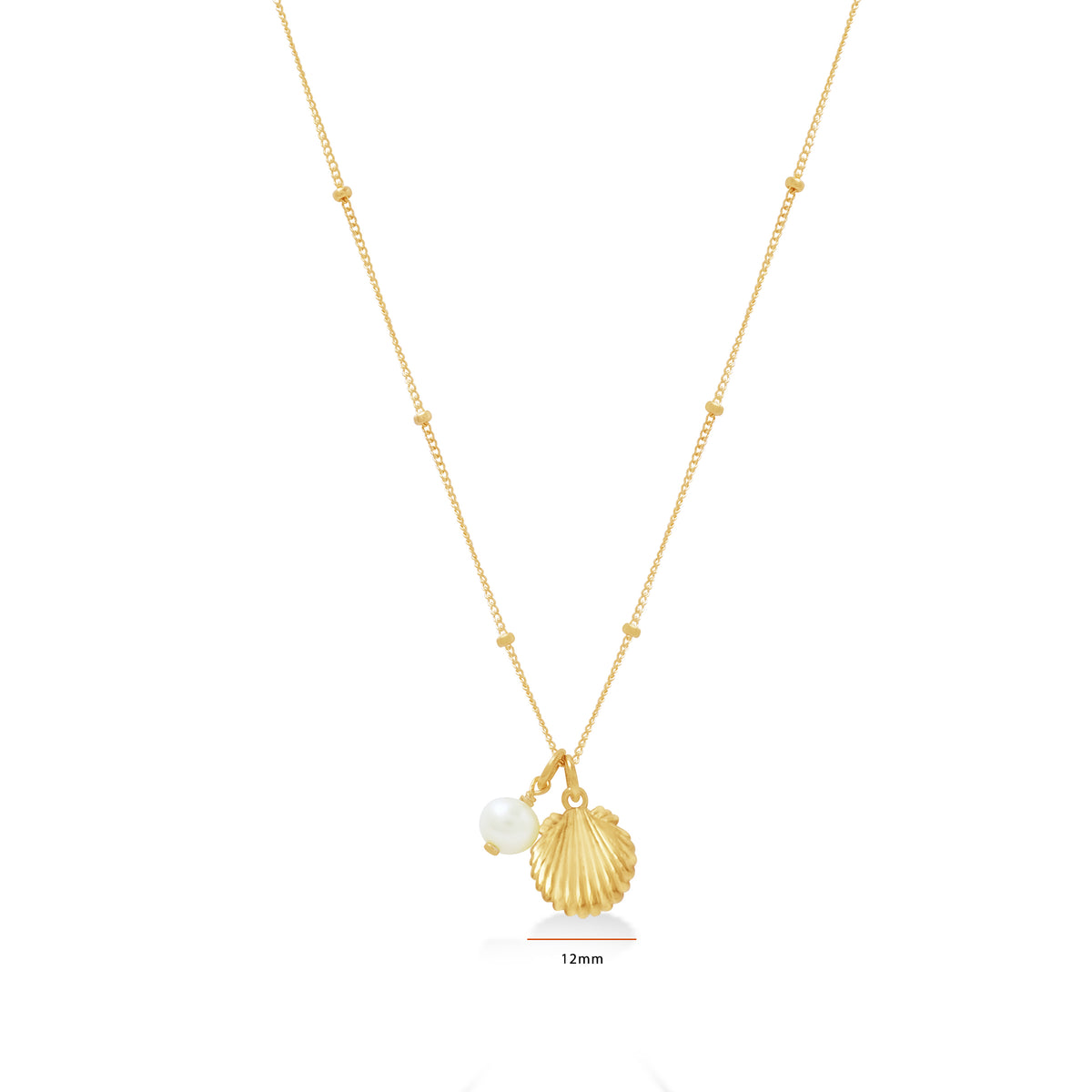 Kalung Rantai Koleksi Shell Sterling Silver 925