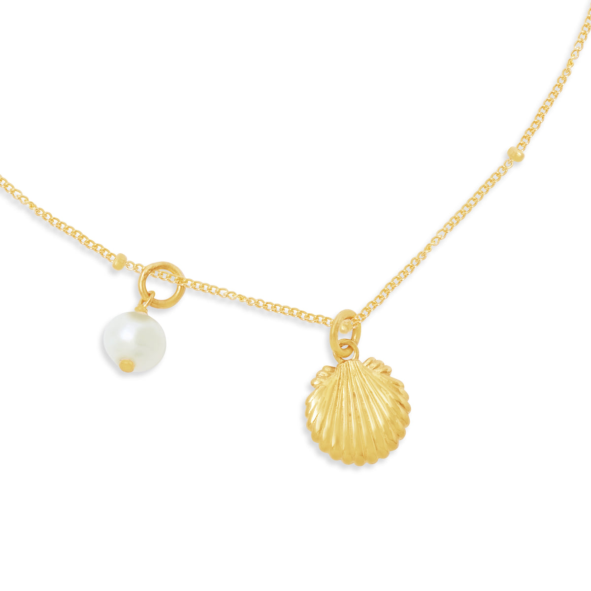 Kalung Rantai Koleksi Shell Sterling Silver 925