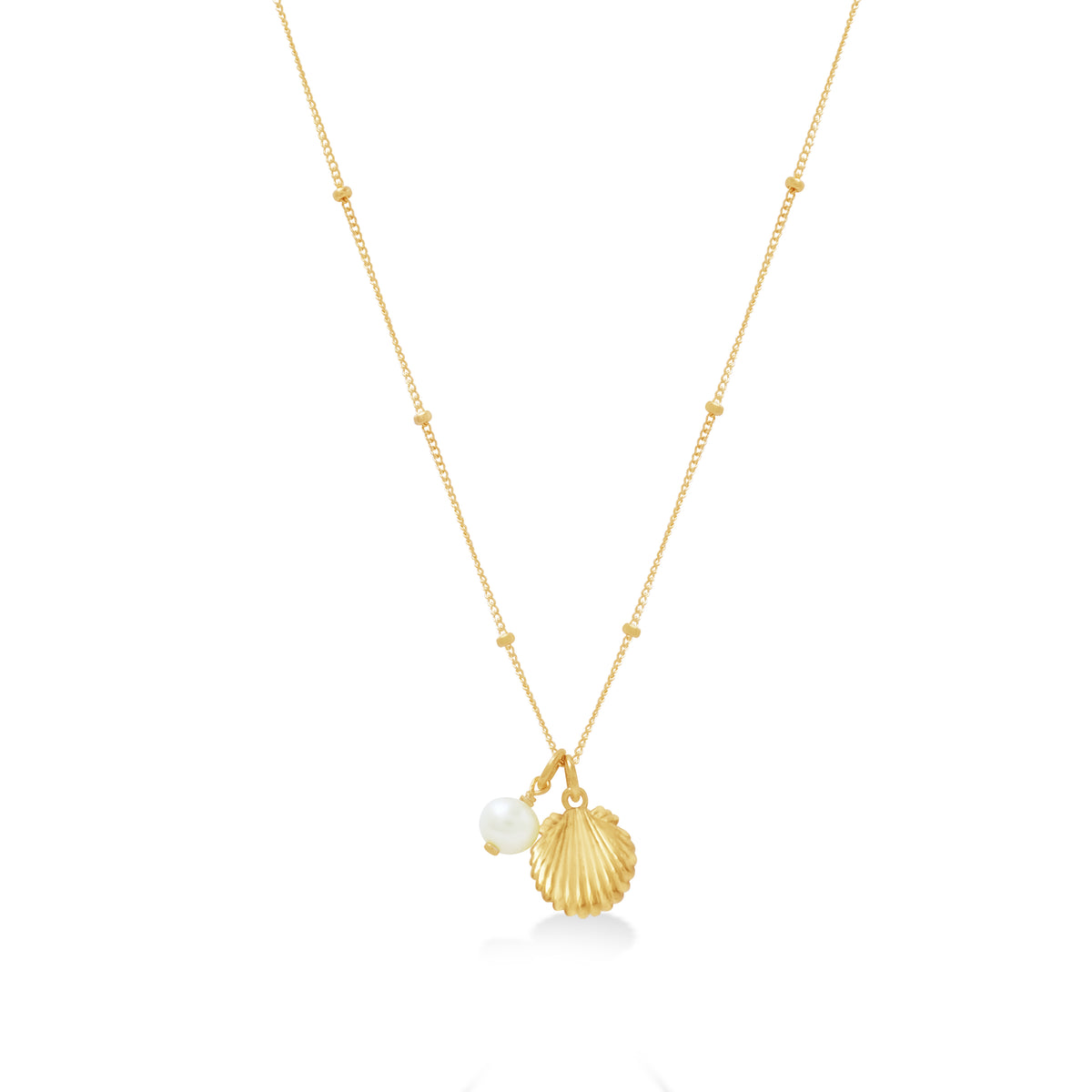 Kalung Rantai Koleksi Shell Sterling Silver 925