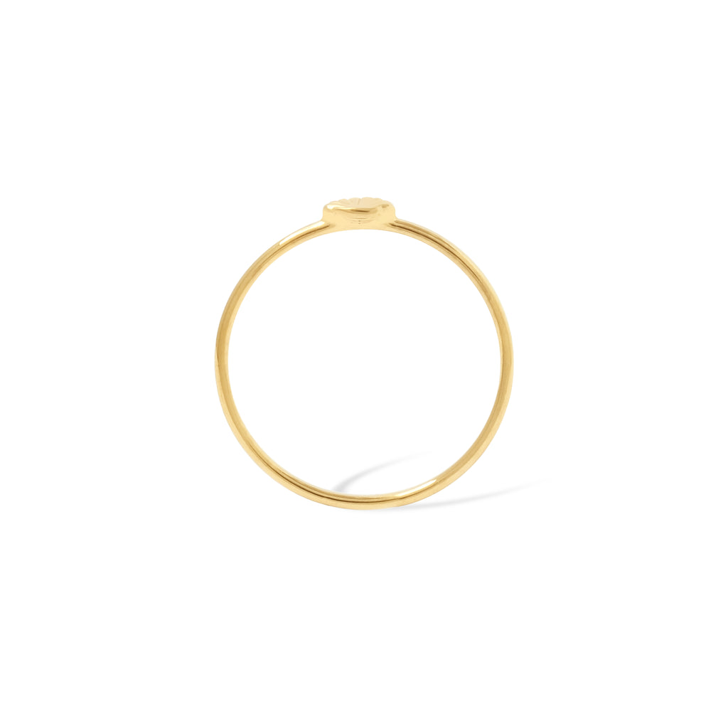 Shell Collection 925 Sterling Silver Ring