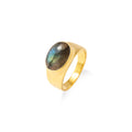 Cincin 1 Perak 925 Koleksi Brillo