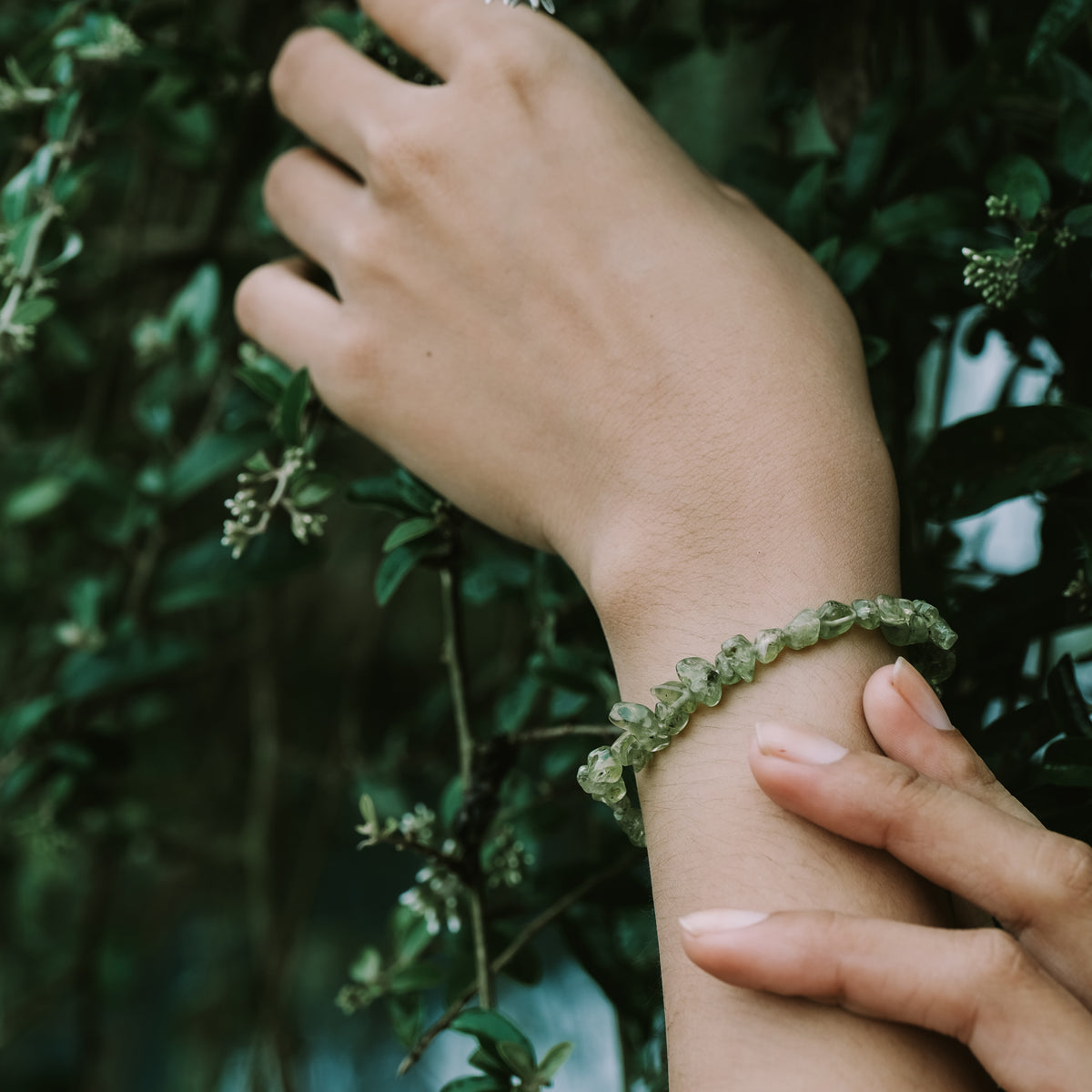 Gelang Full Bead Koleksi Aura Sterling Silver 925