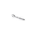Charm Blessed Perak 925