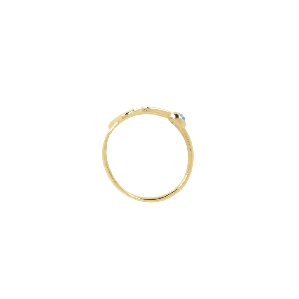 Adjustable Ring /Sagittarius Zodiac for Women/925 Silver with Blue Topaz Gemstone