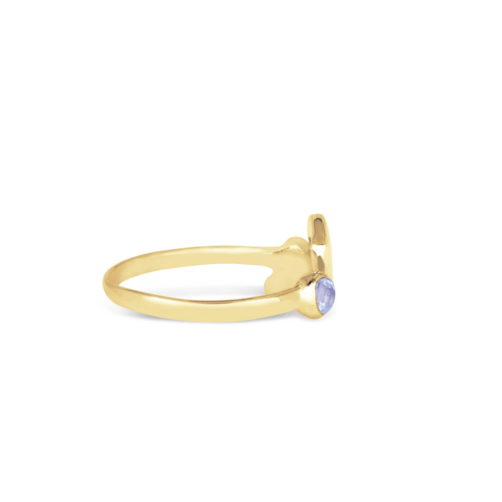 Adjustable Ring /Sagittarius Zodiac for Women/925 Silver with Blue Topaz Gemstone