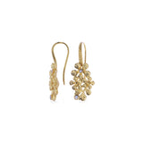 Anting Perak 925 Koleksi Flamboyan Dangling Earrings Gold Plated